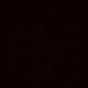 Meet your Posher, Bailey